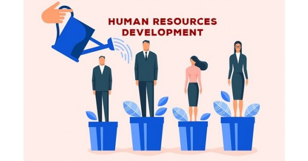 Phát triển nguồn nhân lực là gì? Chiến lược nào hiệu quả?