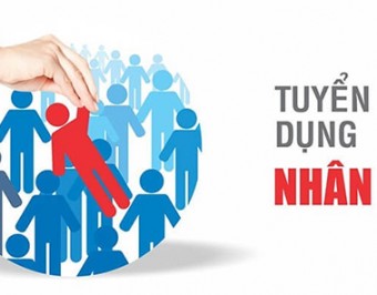 Dịch vụ tuyển dụng nhân sự trọn gói 2021 | Nhân lực Đại Dương